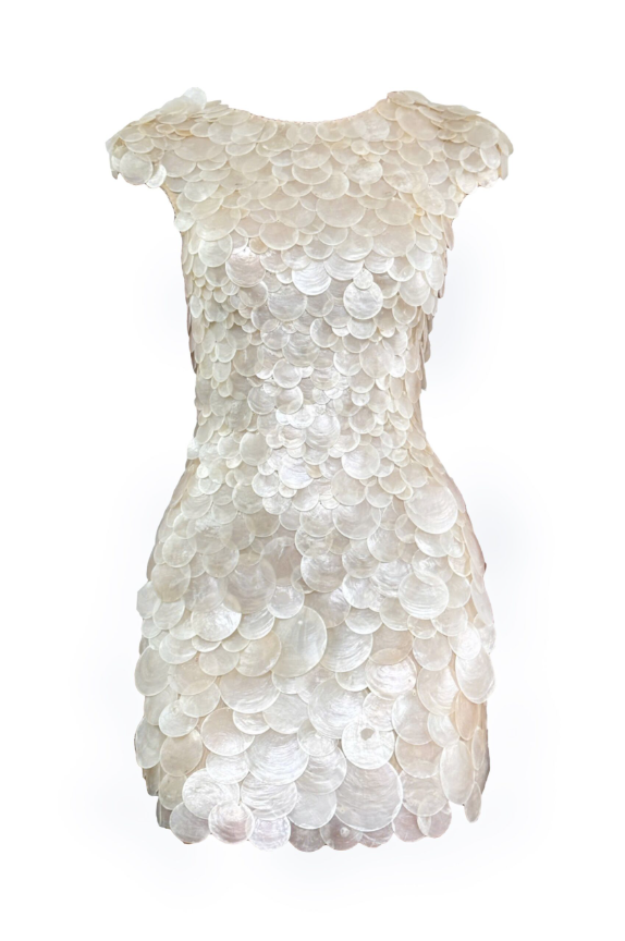微信图片_20251112134043_424_38 GEM SHELL MINI DRESS - Image 1
